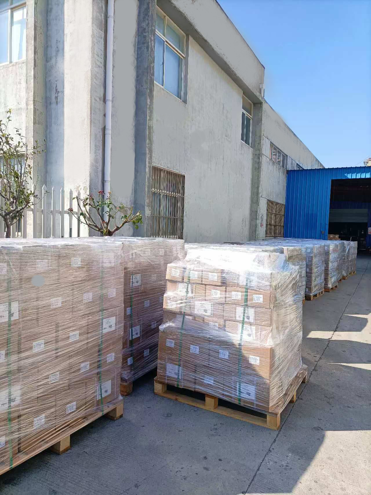 Um grande número de arbustos acabados está sendo enviado